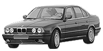 BMW E34 B1954 Fault Code